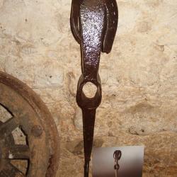 Dorso d'uomo